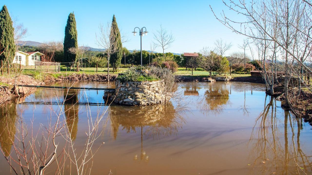 Glamping Debbiare Hotel Riparbella Exterior foto