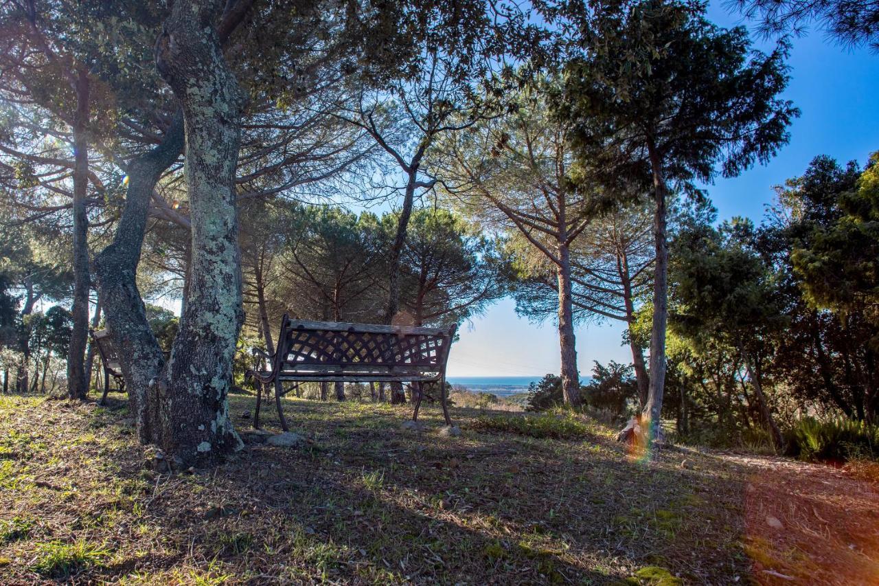 Glamping Debbiare Hotel Riparbella Exterior foto