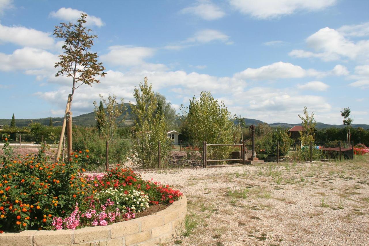 Glamping Debbiare Hotel Riparbella Exterior foto