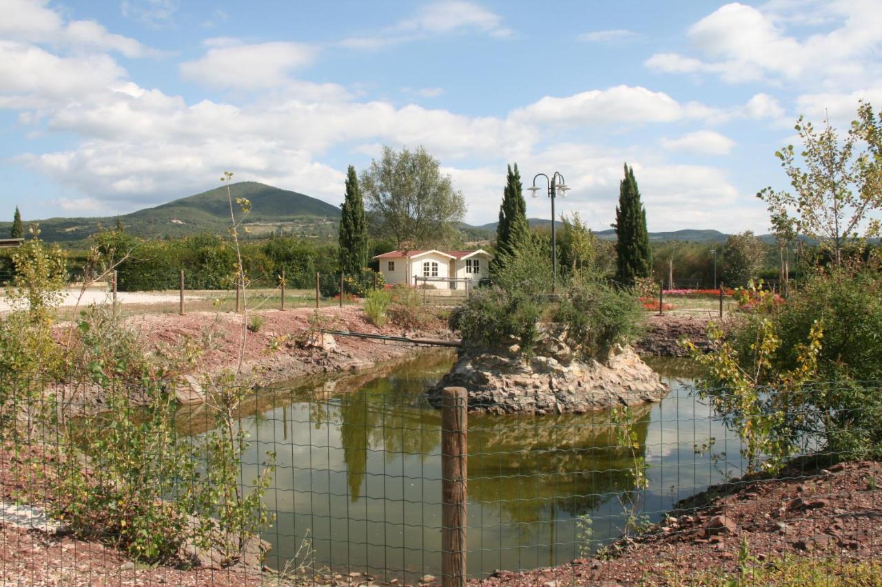 Glamping Debbiare Hotel Riparbella Exterior foto